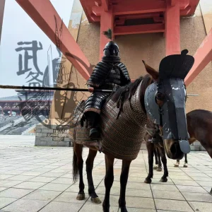 Tang black-armor army Tang black-armor cavalry black-armor cataphract iron cavalry Tang horse armor horse helmet