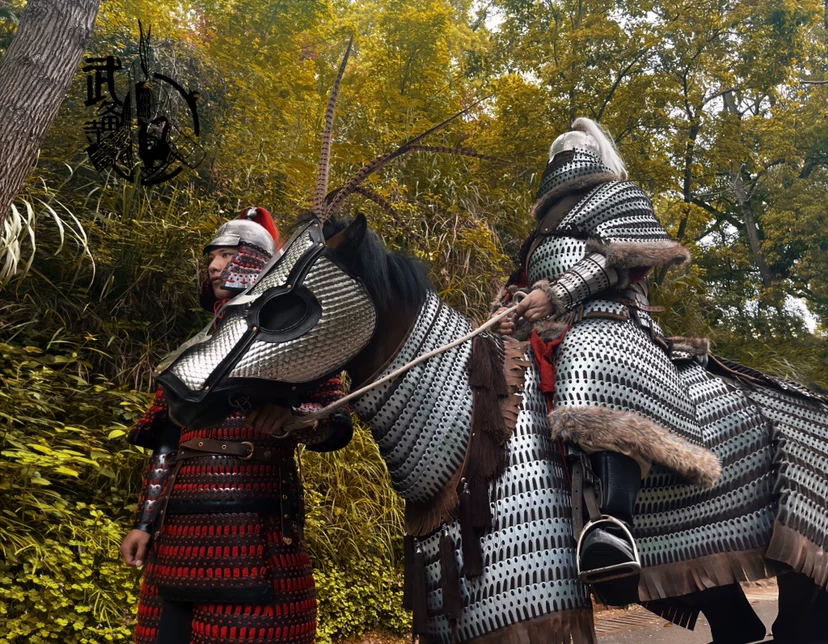 Iron Pagoda cataphract cavalry rider and horse armor set Iron Pagoda armor Iron Pagoda horse armor horse armor / vest - Image 3
