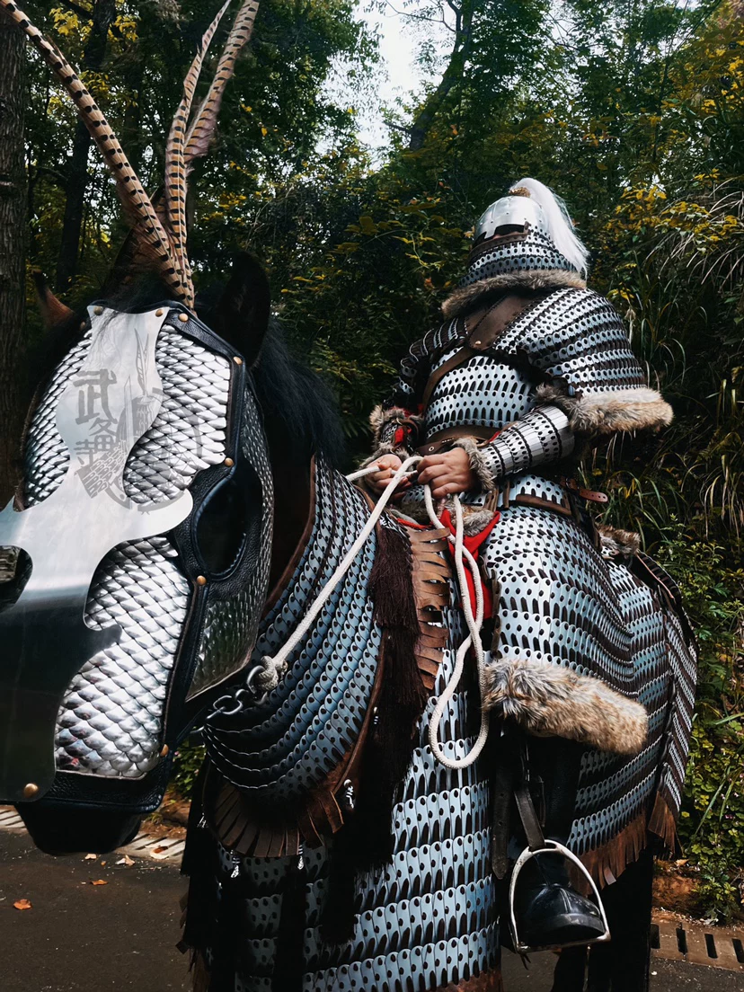 Iron Pagoda cataphract cavalry rider and horse armor set Iron Pagoda armor Iron Pagoda horse armor horse armor / vest - Image 5