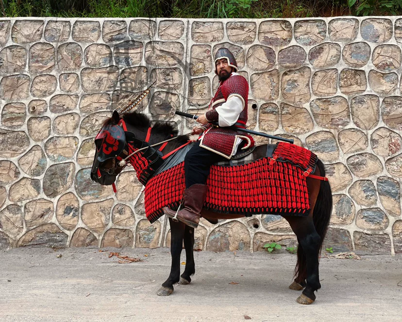 Han cataphract cavalry horse armor Han cavalry Han horse armor Han leather armor leather horse armor - Image 3