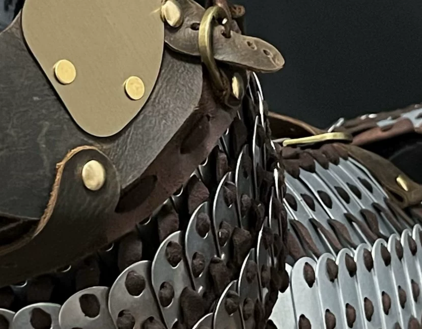 Dog cataphract armor dog armor dog armor dog armor dog coat dog armor armored dog - Image 2
