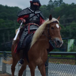 Heavy shock-cavalry armor Wei-Jin cavalry iron armor Ran Wei cavalry armor Wei-Jin lamellar Northern & Southern Dynasties cavalry