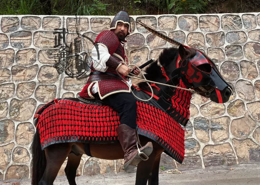 Han cataphract cavalry horse armor Han cavalry Han horse armor Han leather armor leather horse armor - Image 5