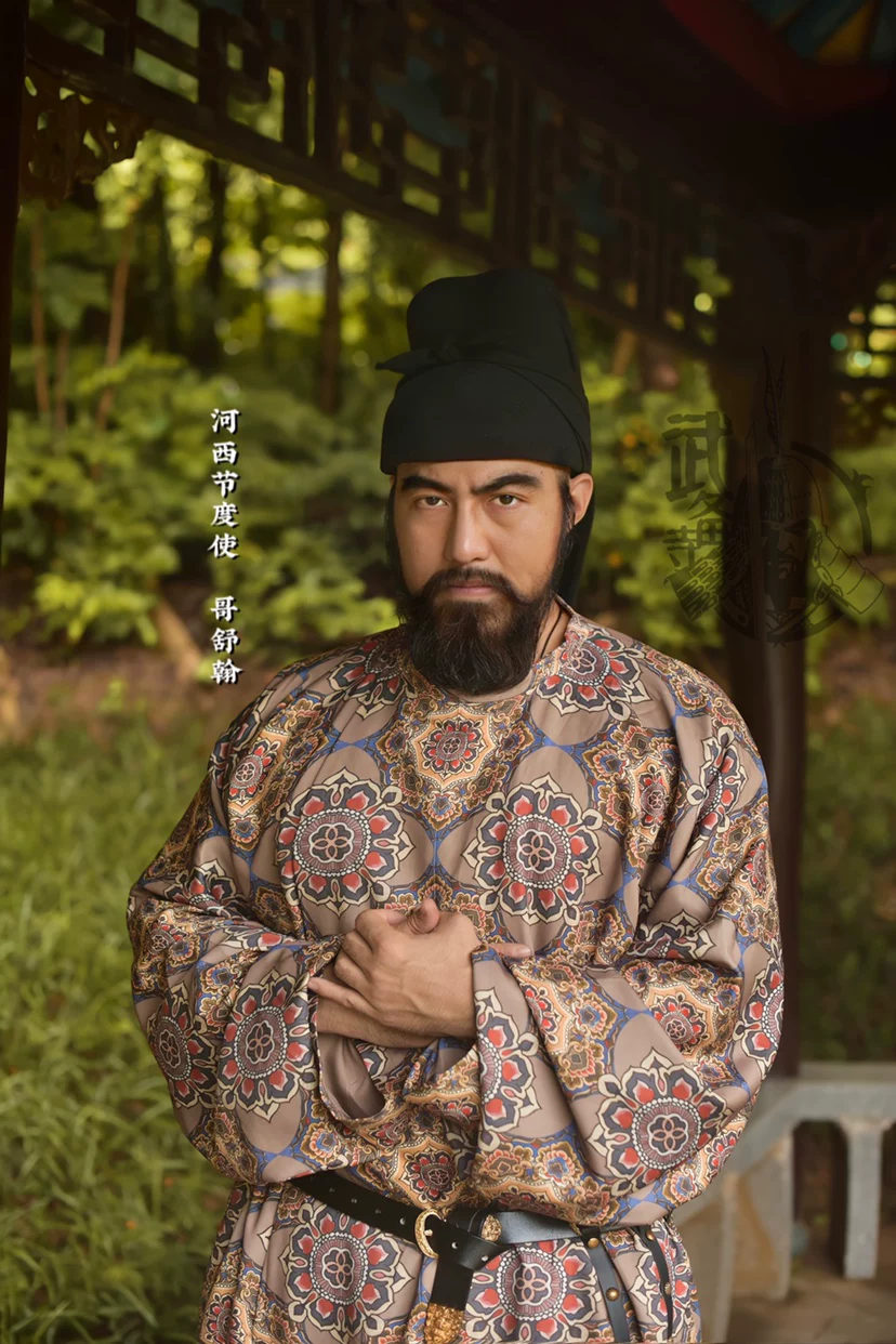 Restored Tang baoxiang brocade round-collar robe restored volume baoxiang round-collar robe Tang-style dress - Image 4
