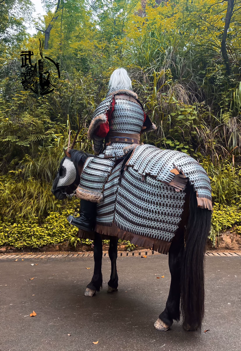 Iron Pagoda cataphract cavalry rider and horse armor set Iron Pagoda armor Iron Pagoda horse armor horse armor / vest - Image 4