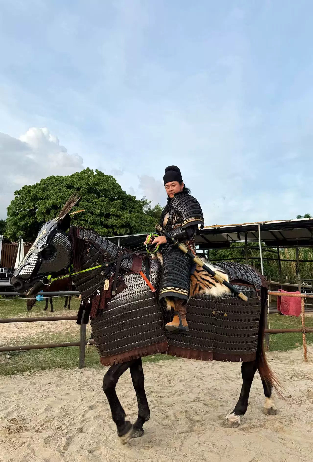 Horse armor crafting horse armor rental horse armor horse barding horse armor - Image 2