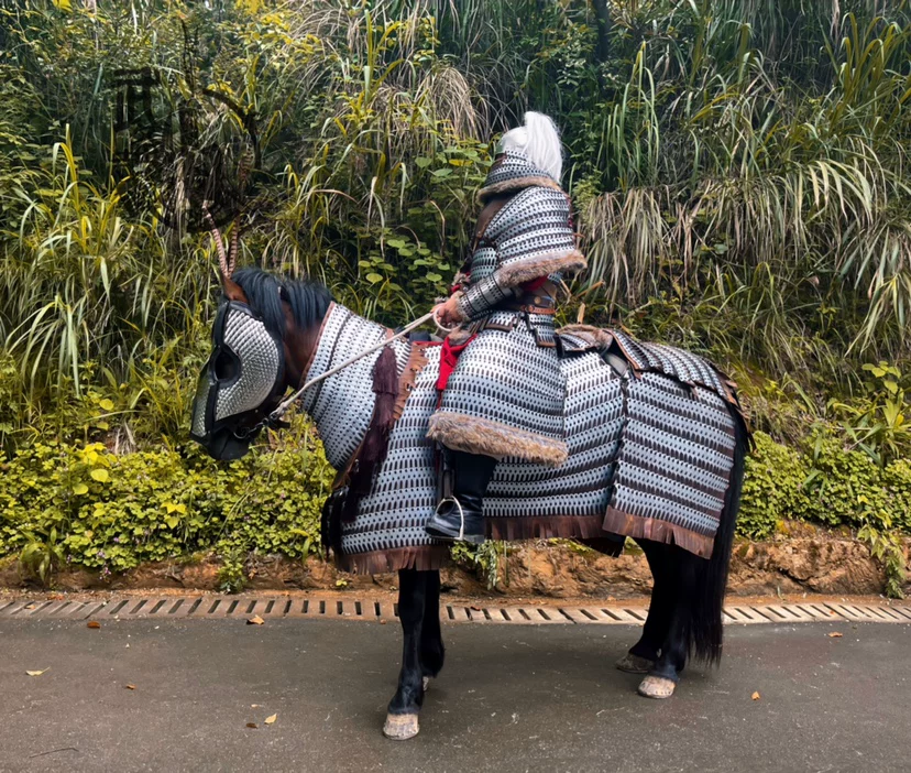 Iron Pagoda cataphract cavalry rider and horse armor set Iron Pagoda armor Iron Pagoda horse armor horse armor / vest - Image 2